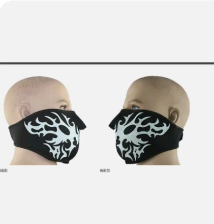 Reversible Mask