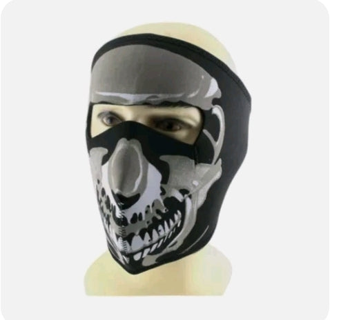 Reversible Mask